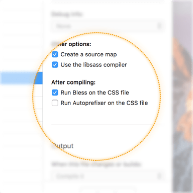 A screenshot of the bless checkbox in the CodeKit window