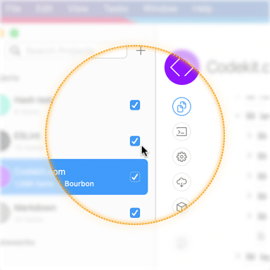 A closeup of the individual pause-project checkboxes in the CodeKit window