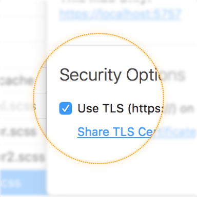 A screenshot of the use TLS checkbox in the Server Popover in CodeKit 3.